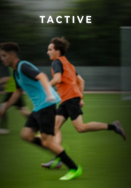 Tactive Training