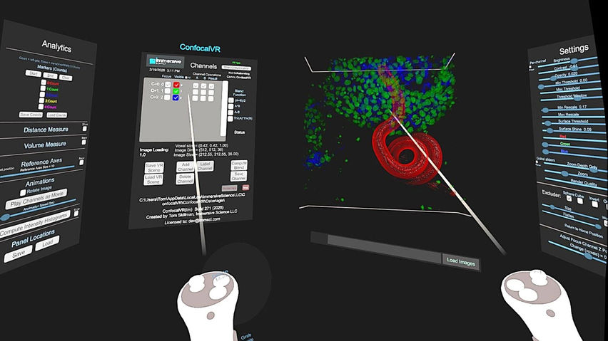 ConfocalVR
