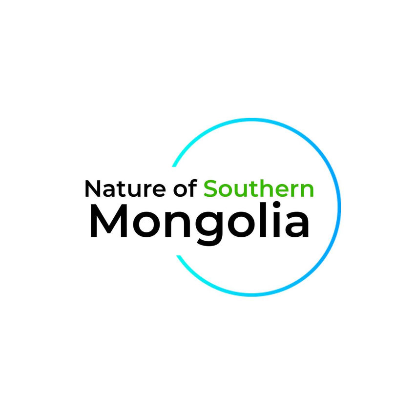 Nature of Southern Mongolia