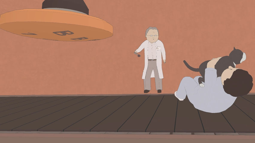 IF YOU SEE A CAT