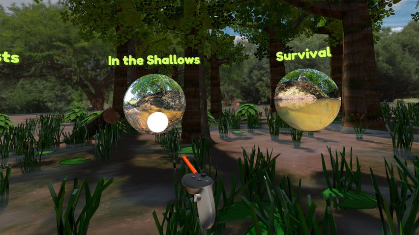 BRWC: Wood Turtle Habitats