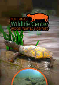 BRWC: Wood Turtle Habitats
