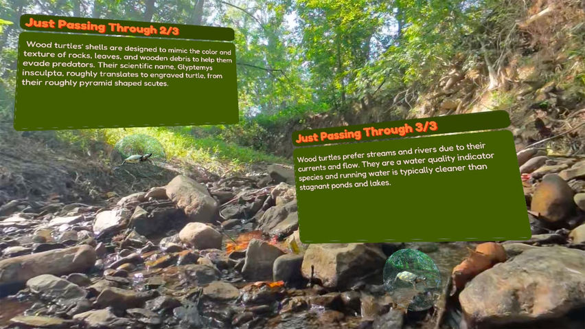 BRWC: Wood Turtle Habitats