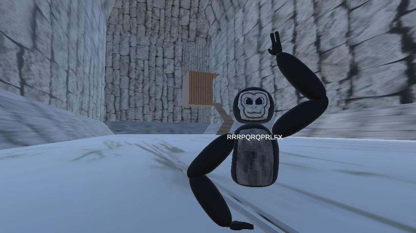 Unknown Monke