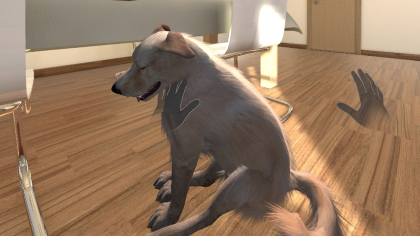 My puppy: Yellow Labrador