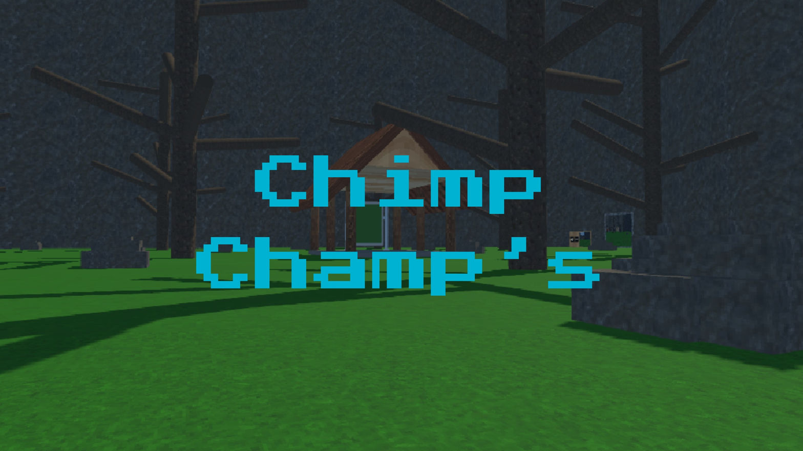 Chimp Champ's