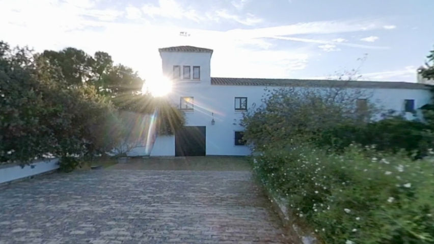 Baena Olive Grove and Oil Museum VR