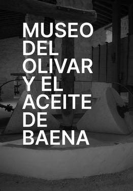 Baena Olive Grove and Oil Museum VR