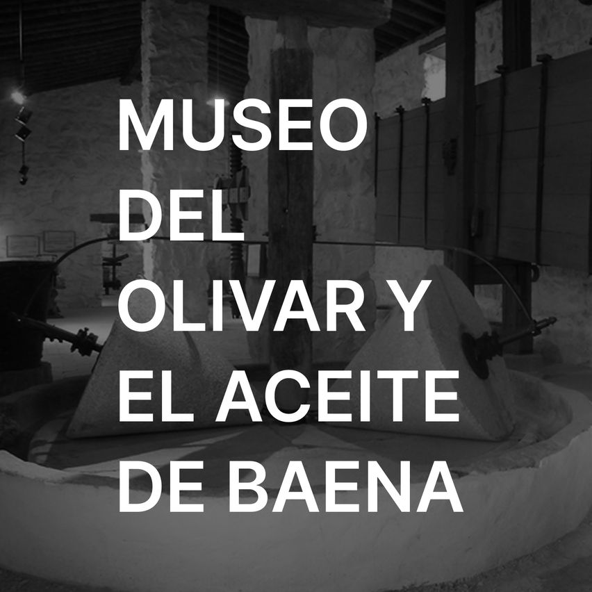 Baena Olive Grove and Oil Museum VR
