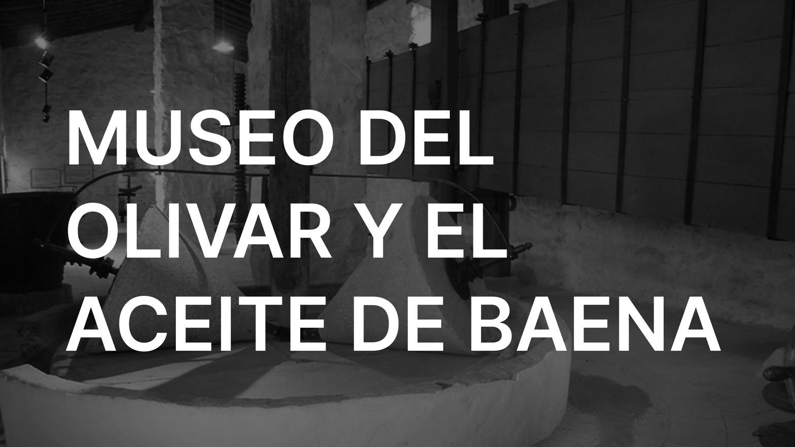Baena Olive Grove and Oil Museum VR