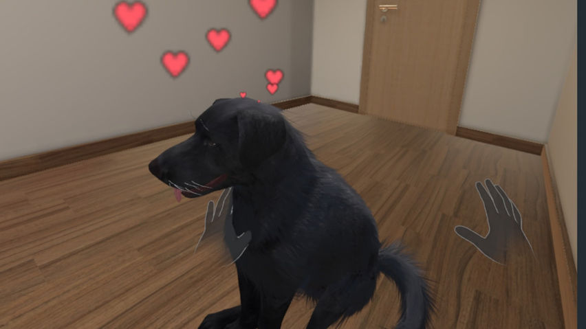 My puppy: Black Labrador