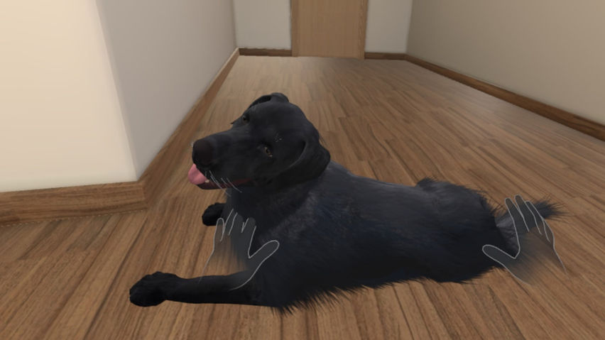 My puppy: Black Labrador