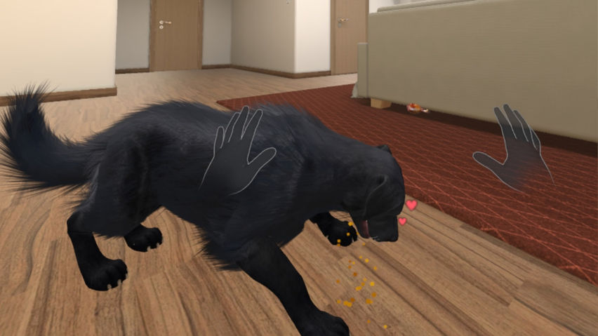 My puppy: Black Labrador
