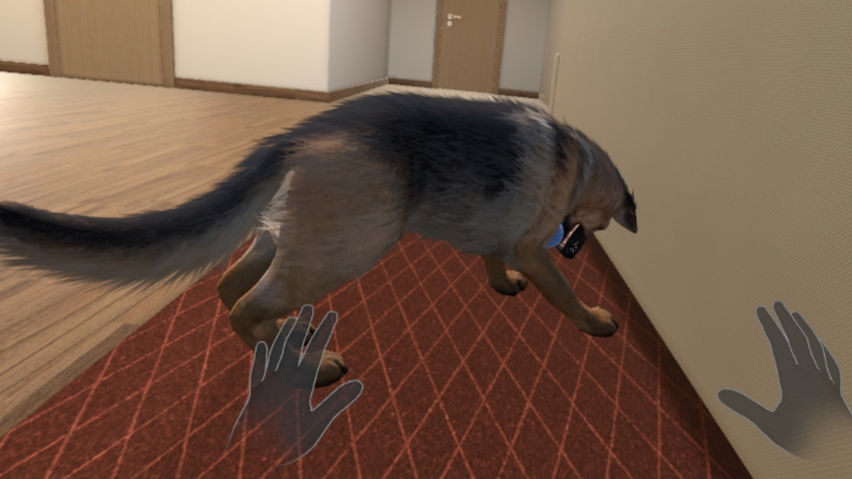 My puppy: Shepherd