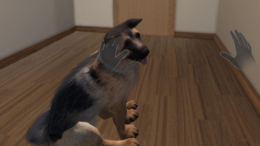 My puppy: Shepherd