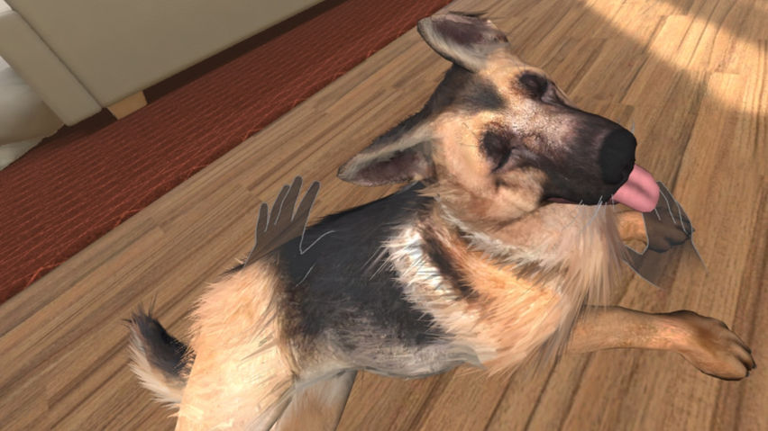 My puppy: Shepherd