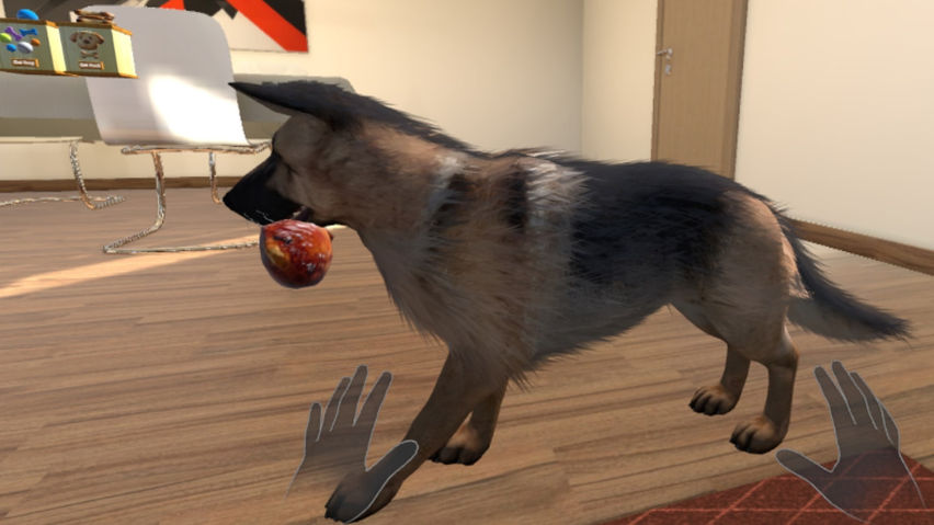 My puppy: Shepherd