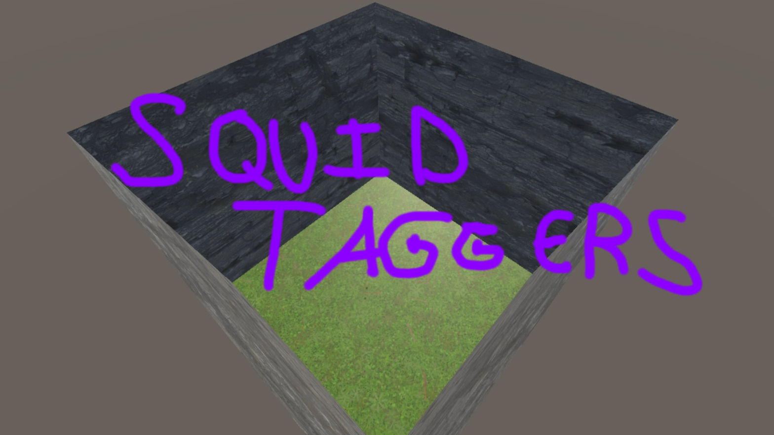Squid Taggers