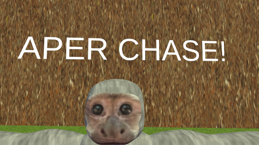 Aper chase