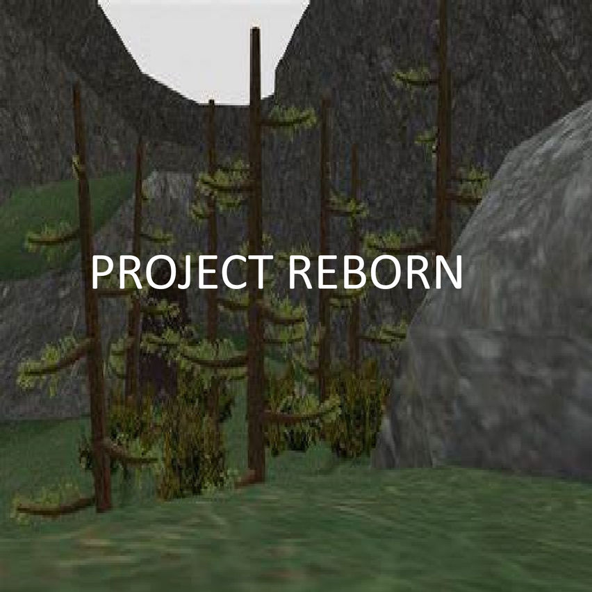 Project Reborn