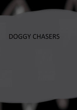doggy chasers