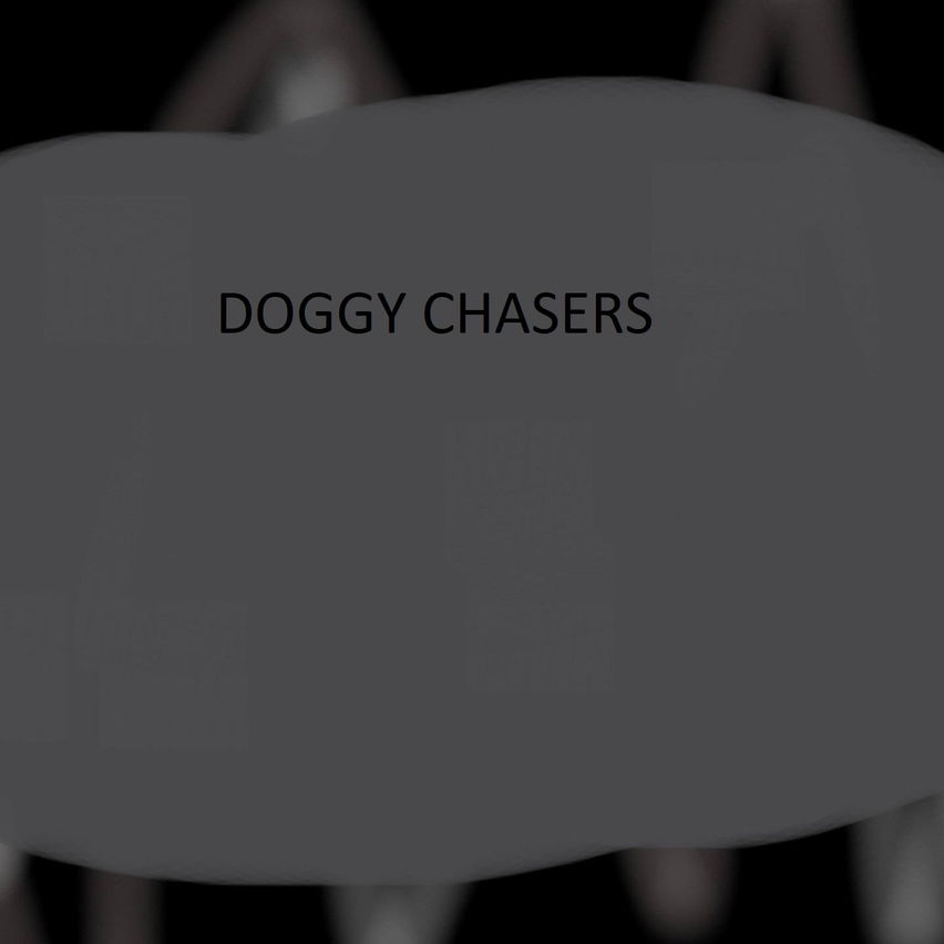 doggy chasers