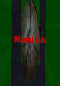 Monki Life Reimagined