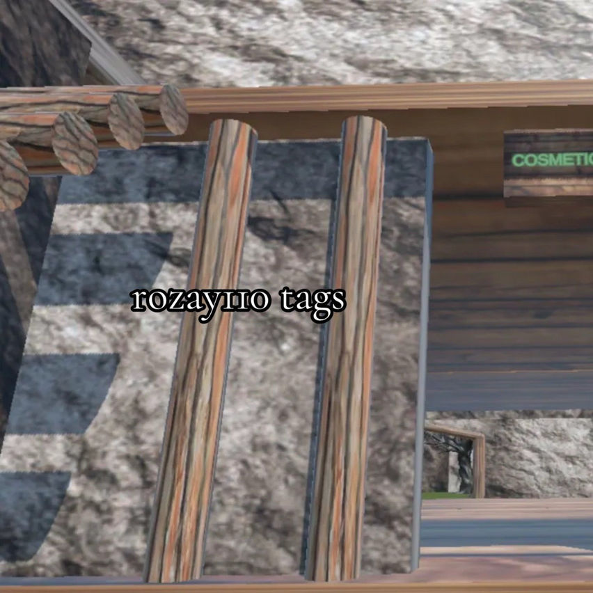 rozay110 tags