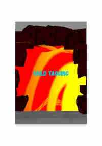 Soild Tagging