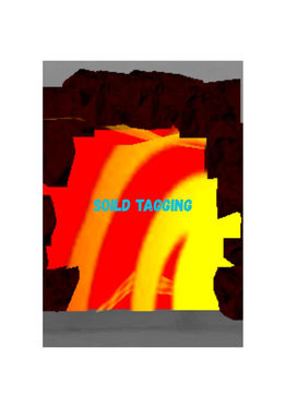 Soild Tagging