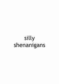 silly shenanigans