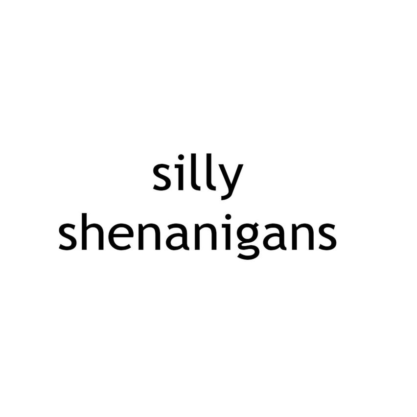 silly shenanigans