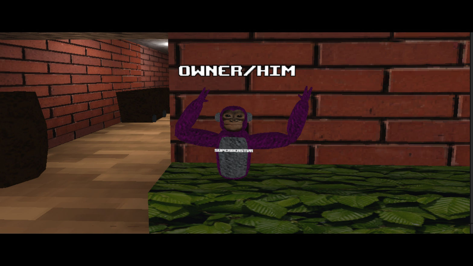 Lunky Munkeys