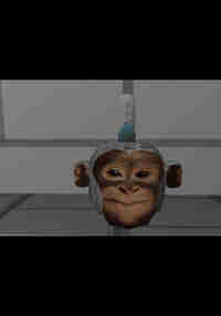 Lunky Munkeys