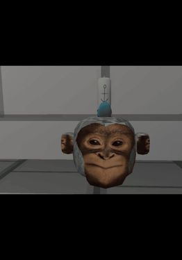 Lunky Munkeys