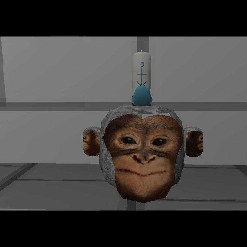 Lunky Munkeys