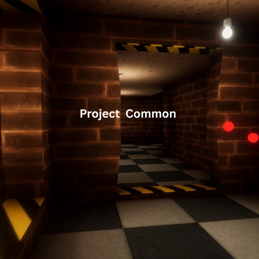 Project Common