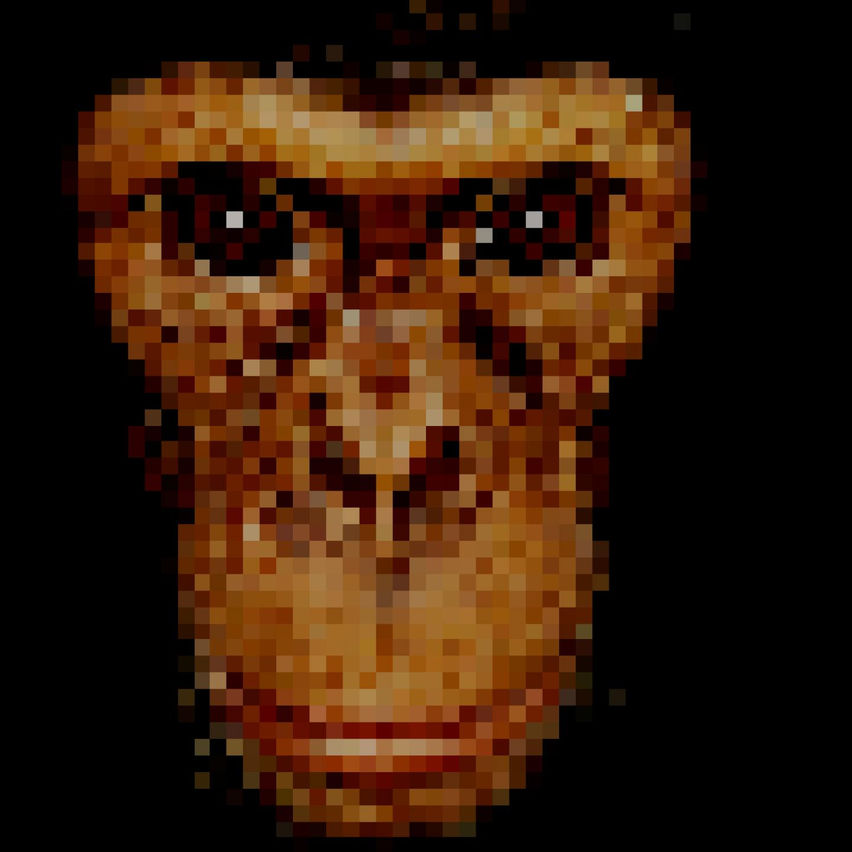Sinister Chimps