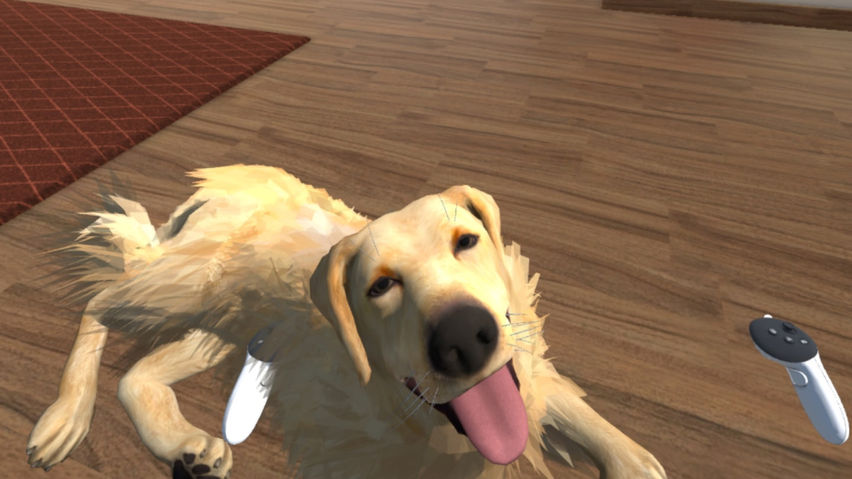 My puppy: Golden Retriever