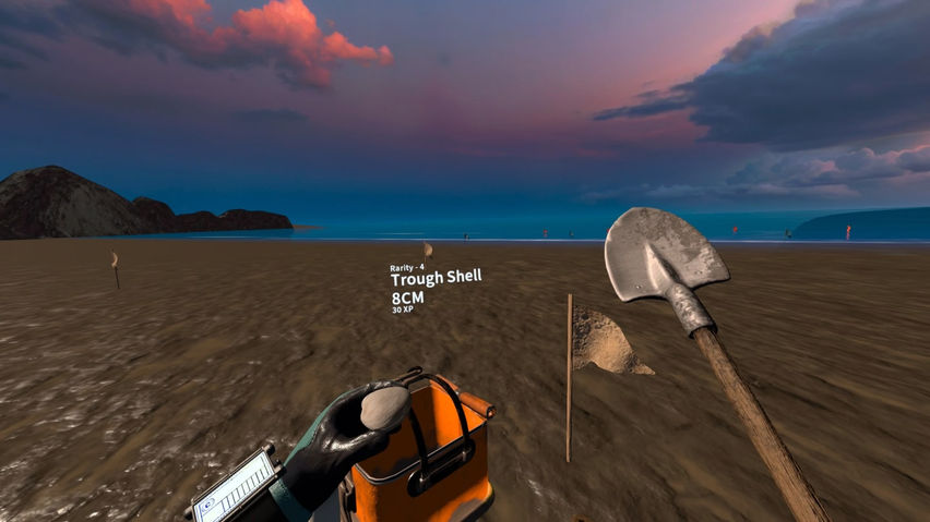 Tidal Adventure