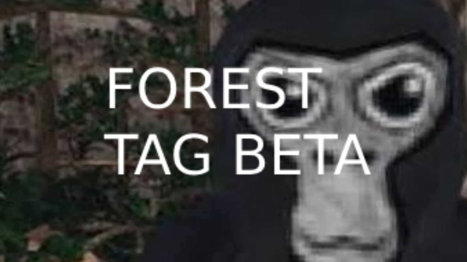 Forest Tag beta