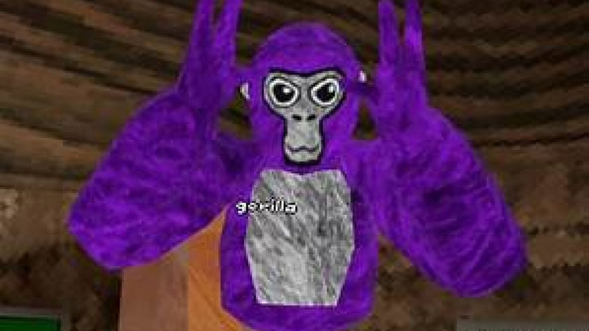Forest Tag beta