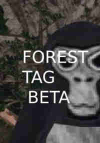 Forest Tag beta