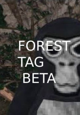 Forest Tag beta