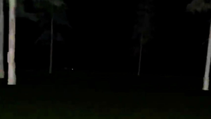 Fun‎ Monke Hor‎ror‎