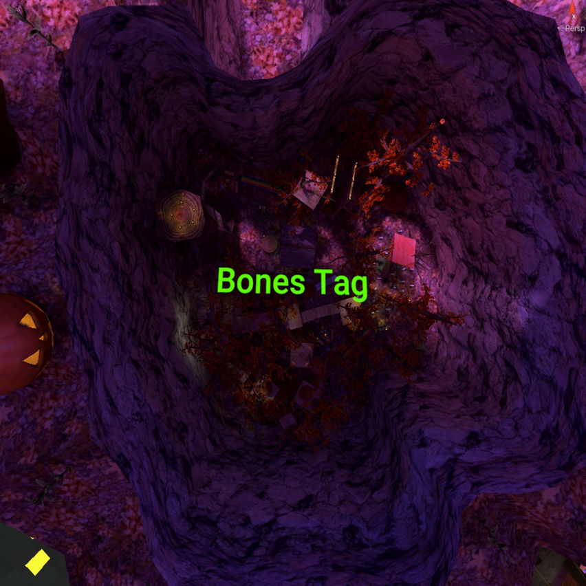 Bones Tag