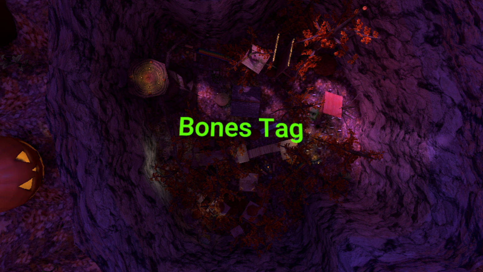 Bones Tag