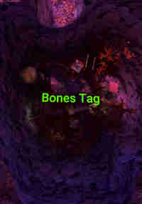 Bones Tag