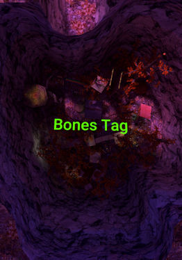 Bones Tag