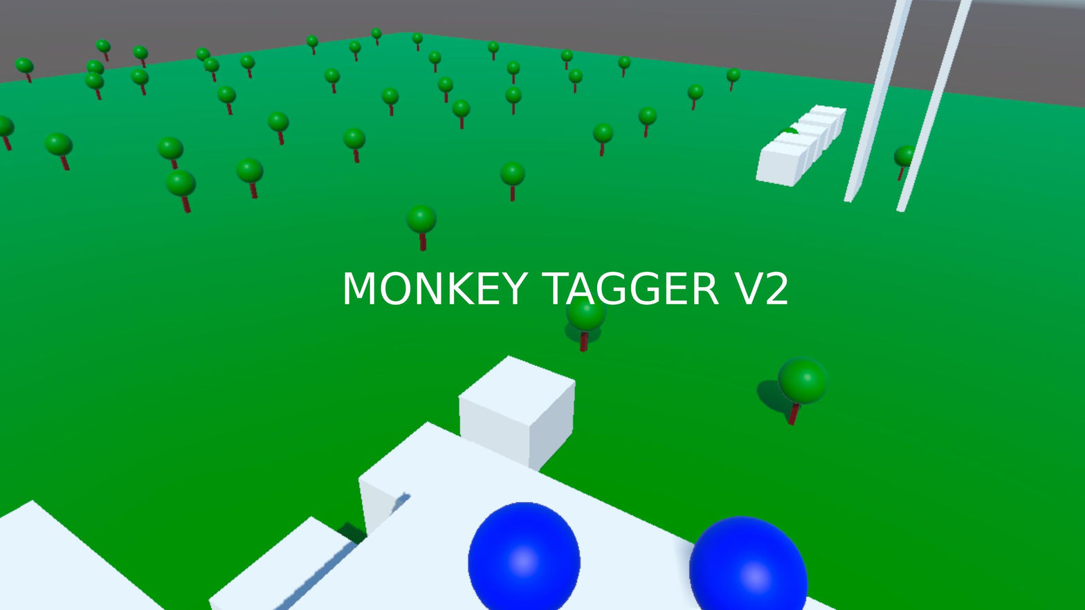 Monkey Tagger V2